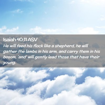 Picture 02 - Isaiah 40:11 ASV - He will feed his flock like a shepherd, he will - Bible Verse Picture