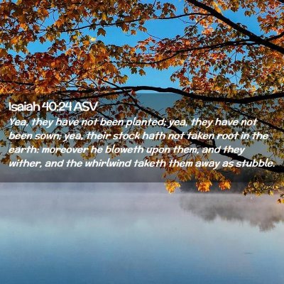 Picture 02 - Isaiah 40:24 ASV - Yea, they have not been planted; yea, they have - Bible Verse Picture