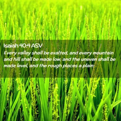 Picture 02 - Isaiah 40:4 ASV - Every valley shall be exalted, and every mountain - Bible Verse Picture