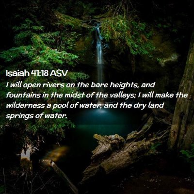 Picture 02 - Isaiah 41:18 ASV - I will open rivers on the bare heights, and - Bible Verse Picture