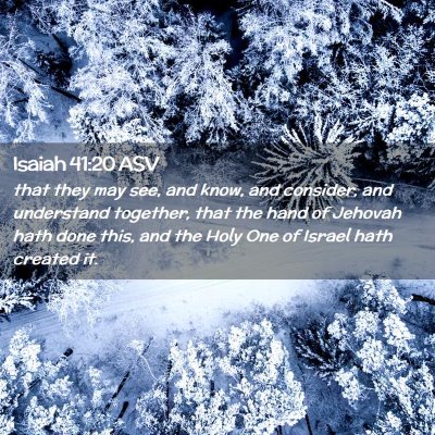 Picture 02 - Isaiah 41:20 ASV - that they may see, and know, and consider, and - Bible Verse Picture