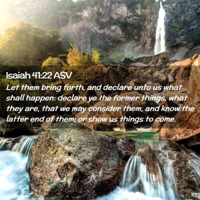 Picture 02 - Isaiah 41:22 ASV - Let them bring forth, and declare unto us what - Bible Verse Picture