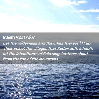 Picture 02 - Isaiah 42:11 ASV - Let the wilderness and the cities thereof lift up - Bible Verse Picture
