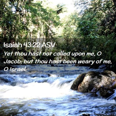 Picture 02 - Isaiah 43:22 ASV - Yet thou hast not called upon me, O Jacob; but - Bible Verse Picture