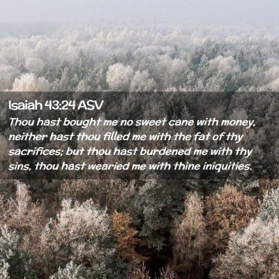 Picture 02 - Isaiah 43:24 ASV - Thou hast bought me no sweet cane with money, - Bible Verse Picture