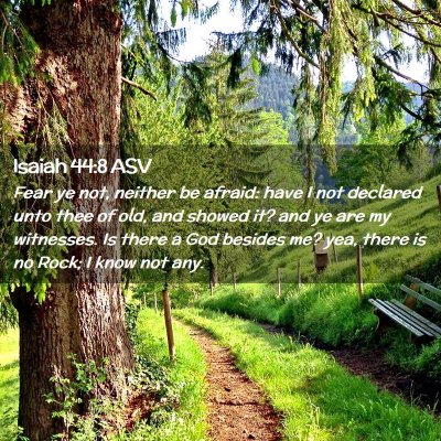 Picture 02 - Isaiah 44:8 ASV - Fear ye not, neither be afraid: have I not - Bible Verse Picture