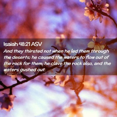 Picture 02 - Isaiah 48:21 ASV - And they thirsted not when he led them through - Bible Verse Picture