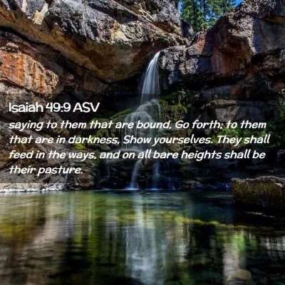Picture 02 - Isaiah 49:9 ASV - saying to them that are bound, Go forth; to them - Bible Verse Picture