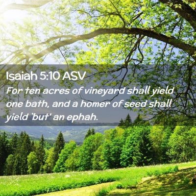 Picture 02 - Isaiah 5:10 ASV - For ten acres of vineyard shall yield one bath, - Bible Verse Picture