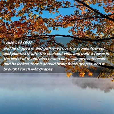 Picture 02 - Isaiah 5:2 ASV - and he digged it, and gathered out the stones - Bible Verse Picture