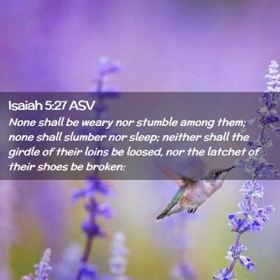 Picture 02 - Isaiah 5:27 ASV - None shall be weary nor stumble among them; none - Bible Verse Picture
