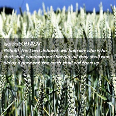 Picture 02 - Isaiah 50:9 ASV - Behold, the Lord Jehovah will help me; who is he - Bible Verse Picture