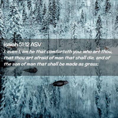 Picture 02 - Isaiah 51:12 ASV - I, even I, am he that comforteth you: who art - Bible Verse Picture
