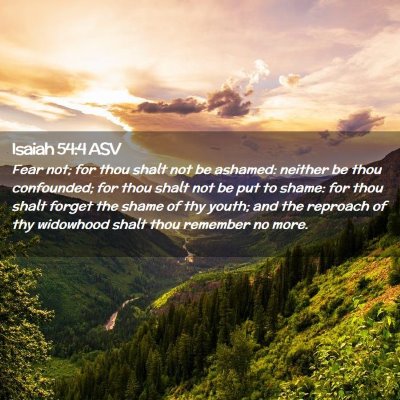 Picture 02 - Isaiah 54:4 ASV - Fear not; for thou shalt not be ashamed: neither - Bible Verse Picture