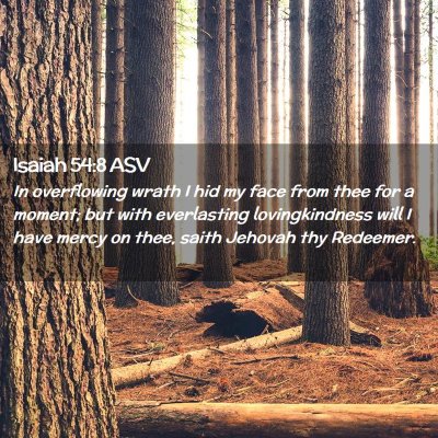 Picture 02 - Isaiah 54:8 ASV - In overflowing wrath I hid my face from thee for - Bible Verse Picture