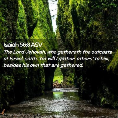 Picture 02 - Isaiah 56:8 ASV - The Lord Jehovah, who gathereth the outcasts of - Bible Verse Picture