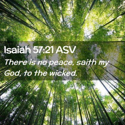 Picture 02 - Isaiah 57:21 ASV - There is no peace, saith my God, to the - Bible Verse Picture