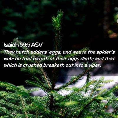 Picture 02 - Isaiah 59:5 ASV - They hatch adders' eggs, and weave the spider's - Bible Verse Picture