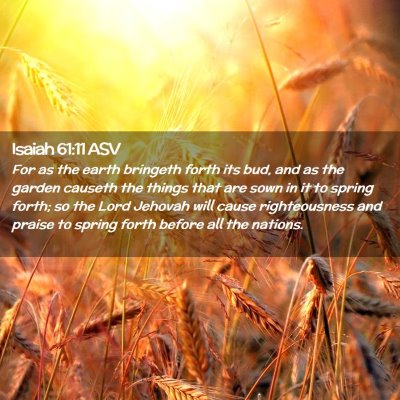 Picture 02 - Isaiah 61:11 ASV - For as the earth bringeth forth its bud, and as - Bible Verse Picture