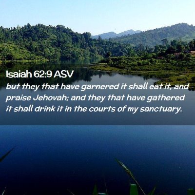 Picture 02 - Isaiah 62:9 ASV - but they that have garnered it shall eat it, and - Bible Verse Picture
