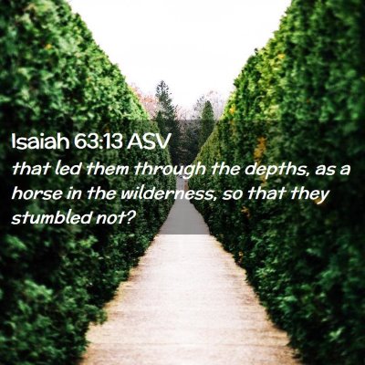 Picture 02 - Isaiah 63:13 ASV - that led them through the depths, as a horse in - Bible Verse Picture