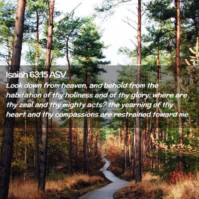 Picture 02 - Isaiah 63:15 ASV - Look down from heaven, and behold from the - Bible Verse Picture
