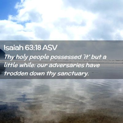 Picture 02 - Isaiah 63:18 ASV - Thy holy people possessed `it' but a little - Bible Verse Picture