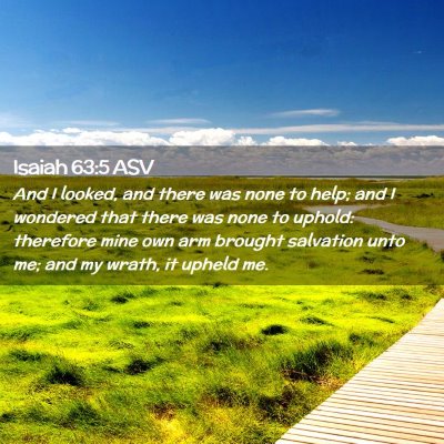 Picture 02 - Isaiah 63:5 ASV - And I looked, and there was none to help; and I - Bible Verse Picture
