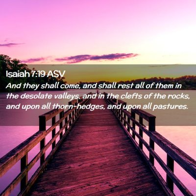 Picture 02 - Isaiah 7:19 ASV - And they shall come, and shall rest all of them - Bible Verse Picture