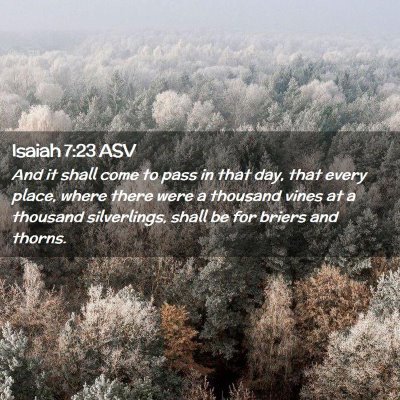 Picture 02 - Isaiah 7:23 ASV - And it shall come to pass in that day, that every - Bible Verse Picture