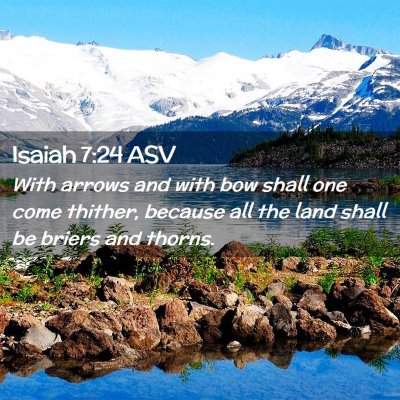 Picture 02 - Isaiah 7:24 ASV - With arrows and with bow shall one come thither, - Bible Verse Picture