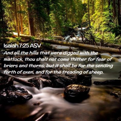 Picture 02 - Isaiah 7:25 ASV - And all the hills that were digged with the - Bible Verse Picture