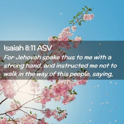 Picture 02 - Isaiah 8:11 ASV - For Jehovah spake thus to me with a strong hand, - Bible Verse Picture