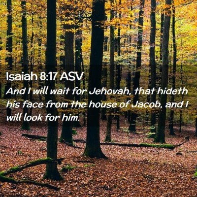 Picture 02 - Isaiah 8:17 ASV - And I will wait for Jehovah, that hideth his face - Bible Verse Picture
