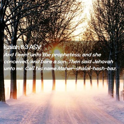Picture 02 - Isaiah 8:3 ASV - And I went unto the prophetess; and she - Bible Verse Picture