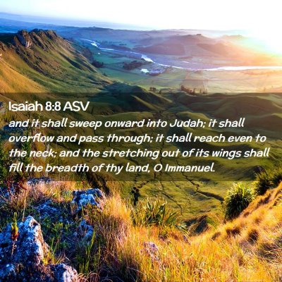 Picture 02 - Isaiah 8:8 ASV - and it shall sweep onward into Judah; it shall - Bible Verse Picture