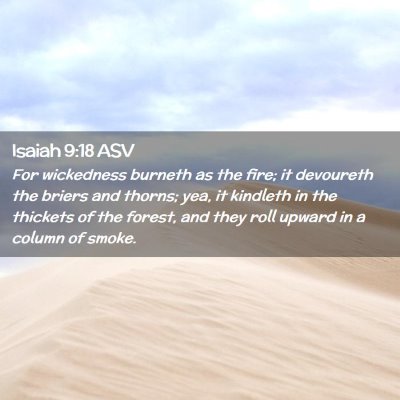 Picture 02 - Isaiah 9:18 ASV - For wickedness burneth as the fire; it devoureth - Bible Verse Picture
