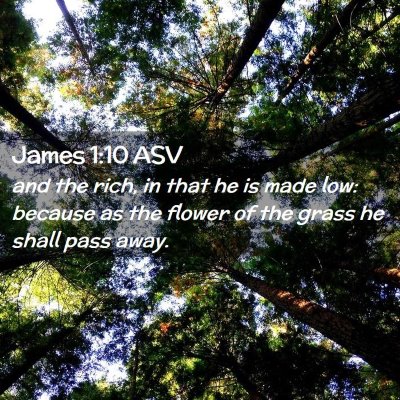Picture 02 - James 1:10 ASV - and the rich, in that he is made low: because as - Bible Verse Picture
