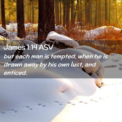 Picture 02 - James 1:14 ASV - but each man is tempted, when he is drawn away by - Bible Verse Picture