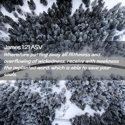 Picture 02 - James 1:21 ASV - Wherefore putting away all filthiness and - Bible Verse Picture