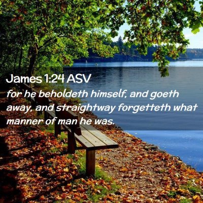 Picture 02 - James 1:24 ASV - for he beholdeth himself, and goeth away, and - Bible Verse Picture