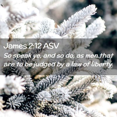 Picture 02 - James 2:12 ASV - So speak ye, and so do, as men that are to be - Bible Verse Picture