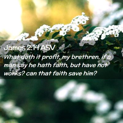 Picture 02 - James 2:14 ASV - What doth it profit, my brethren, if a man say he - Bible Verse Picture