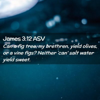 Picture 02 - James 3:12 ASV - Can a fig tree, my brethren, yield olives, or a - Bible Verse Picture