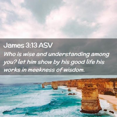 Picture 02 - James 3:13 ASV - Who is wise and understanding among you? let him - Bible Verse Picture