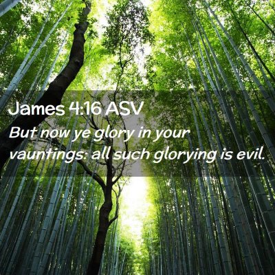 Picture 02 - James 4:16 ASV - But now ye glory in your vauntings: all such - Bible Verse Picture