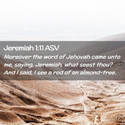 Picture 02 - Jeremiah 1:11 ASV - Moreover the word of Jehovah came unto me, - Bible Verse Picture