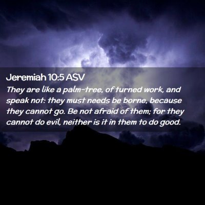 Picture 02 - Jeremiah 10:5 ASV - They are like a palm-tree, of turned work, and - Bible Verse Picture