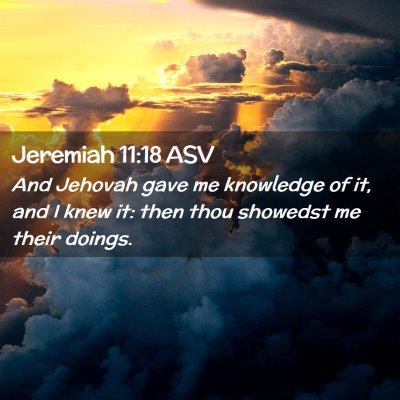 Picture 02 - Jeremiah 11:18 ASV - And Jehovah gave me knowledge of it, and I knew - Bible Verse Picture