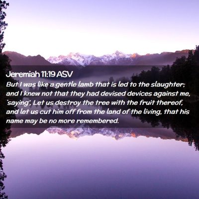 Picture 02 - Jeremiah 11:19 ASV - But I was like a gentle lamb that is led to the - Bible Verse Picture
